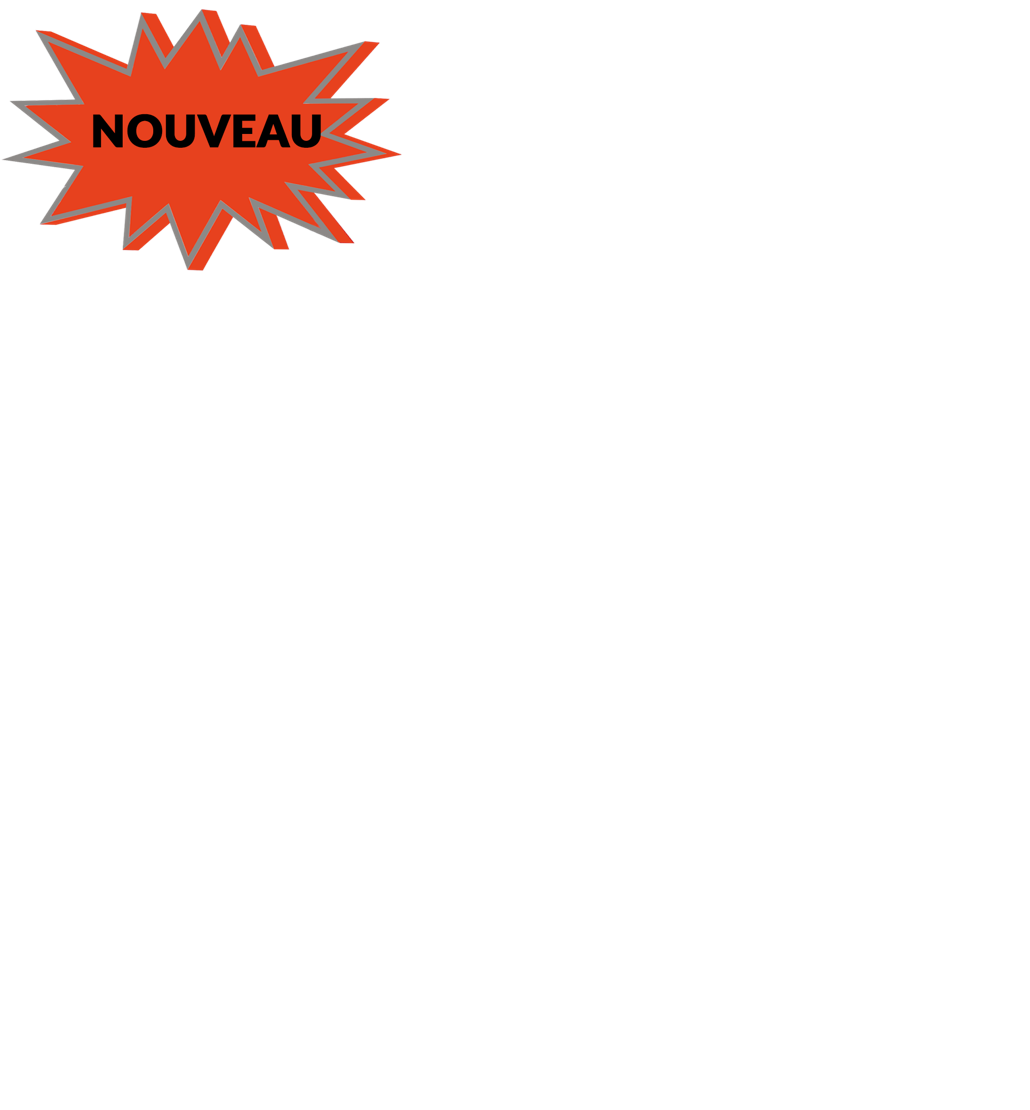 Exposition complète Léonard de Vinci et les robots Totems interactifs Ateliers participatifs