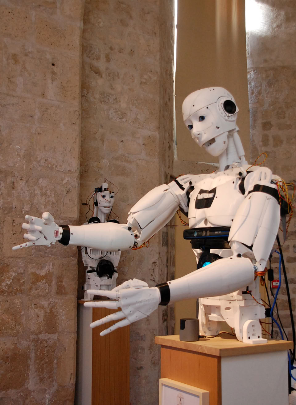 exposition cité des sciences, exposition Léonard de Vinci, Machines volantes, Ateliers de robotique, aibo sony,  inmoov, exposition robots, exposition permanente robots